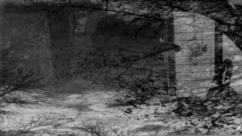 Northern Lights (1978) download