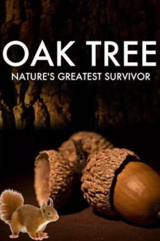 Oak Tree: Nature's Greatest Survivor (2015) download