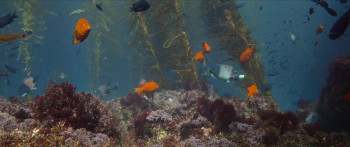 Ocean with David Attenborough (2025) download