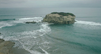 Octopus Skin (2022) download