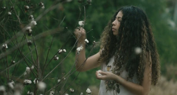 Octopus Skin (2022) download