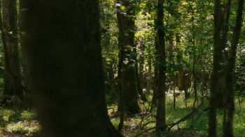 Off the Grid (2025) download