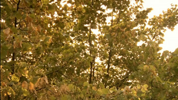 On Board (1998) download