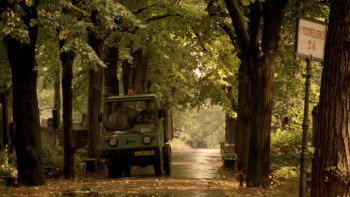 On Board (1998) download