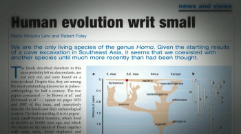 On the Yeti Trail (2014) download