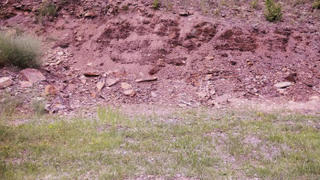 One Million Babes BC (2024) download