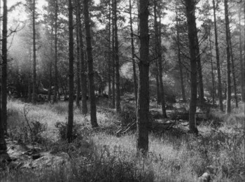 One of the Missing (1969) download