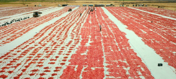 Hemme'nin öldügü günlerden biri (2024) download