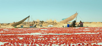 Hemme'nin öldügü günlerden biri (2024) download