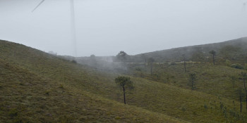 Only on Earth (2025) download