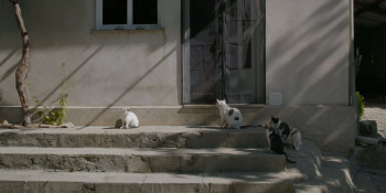 Only on Earth (2025) download