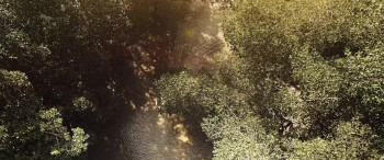 Operation Mekong (2016) download