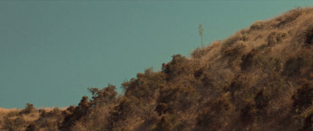 Outbreak (2024) download