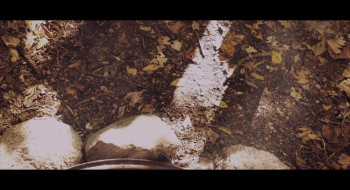 Oxenfree (2016) download