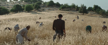 Palestine 36 (2025) download