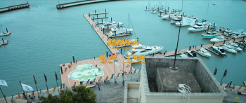 Panda Plan (2024) download