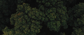 Pandorica (2016) download