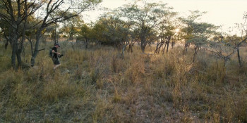 Pangolin: Kulu's Journey (2025) download