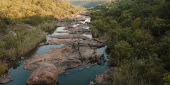 Pangolin: Kulu's Journey (2025) download