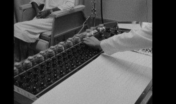 Parade: Queer Acts of Love & Resistance (2025) download