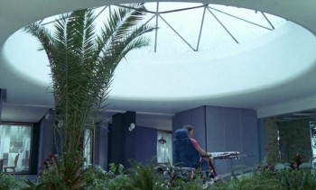 Paradis pour tous (1982) download