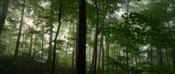 Paradise (2025) download