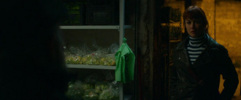 Paradox Effect (2024) download