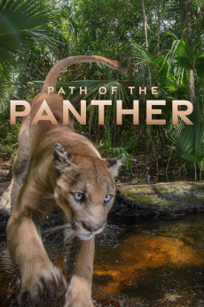 Path of the Panther (2022) download