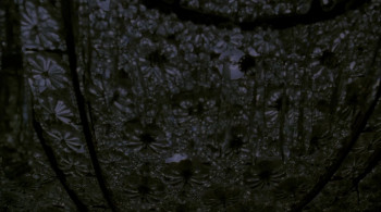 Path to War (2002) download