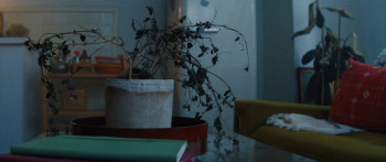 People We Meet on Vacation (2026) download