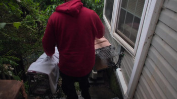 Pets (2025) download