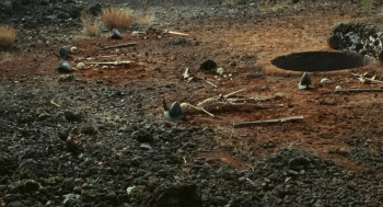 Pigsty (1969) download