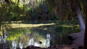 Piranhaconda (2012) download