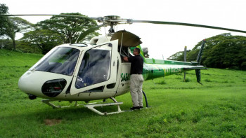 Piranhaconda (2012) download