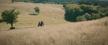 Plague (2023) download