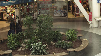 Play (2011) download