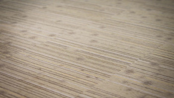 Play the Flute (2019) download