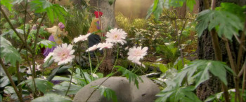 Plop en de kabouterbaby (2009) download