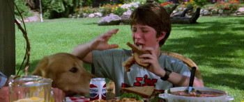 Poltergeist II: The Other Side (1986) download