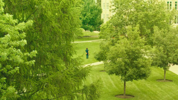 Pools (2025) download