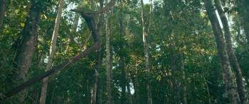 Prisoner of War (2025) download