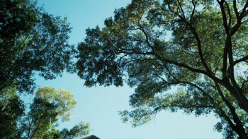 Project Baby (2023) download