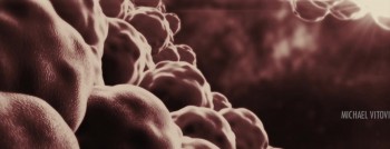 Project E.1337: ALPHA (2018) download