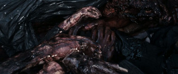 Prowl (2010) download