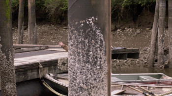 Psych: The Movie (2017) download