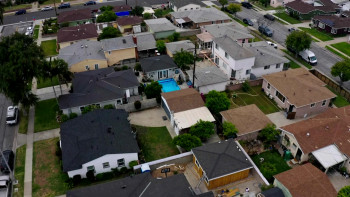 Put the Guns Down: A World Epidemic (2025) download