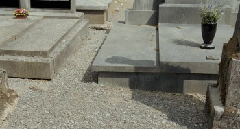 A Distant Neighbourhood (2010) download