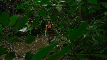 Quest for Love (2022) download