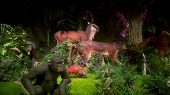 Questioning Darwin (2014) download