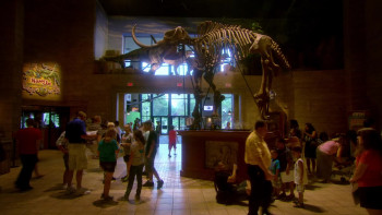 Questioning Darwin (2014) download